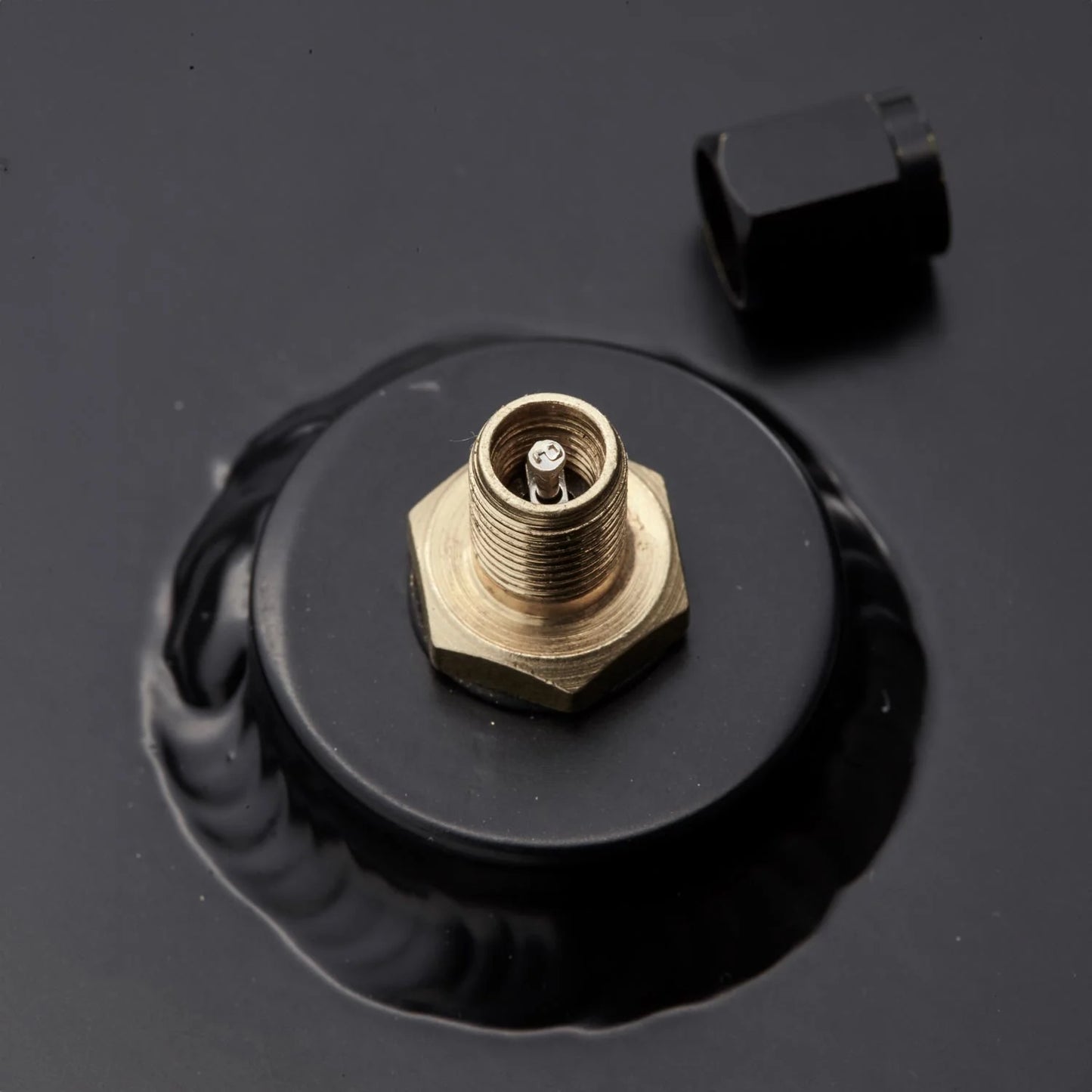 Mobiler Outdoor Druckwassertank & Travel Shower EVOTANK - Vickywood