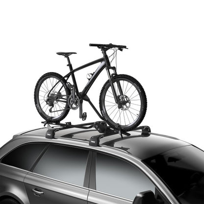 Thule Pro Ride schwarz 5982 (Autodach)